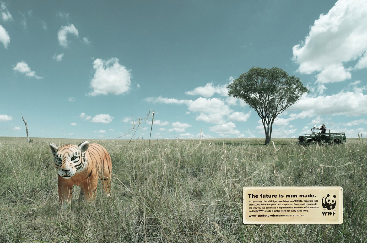 Программа дикой природы. Всемирный фонд дикой природы WWF реклама. Социальная реклама WWF. Исчезновение видов животных. WWF животные.