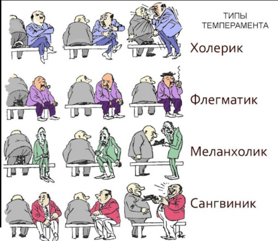 Тип темперамента меланхолик