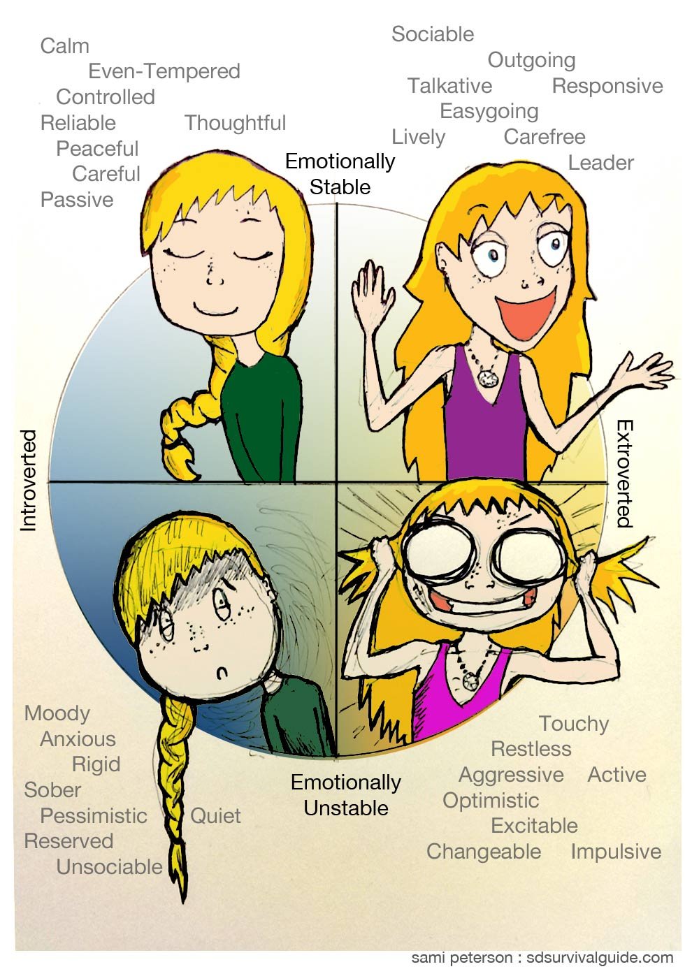 Сангвиник картинки для презентации