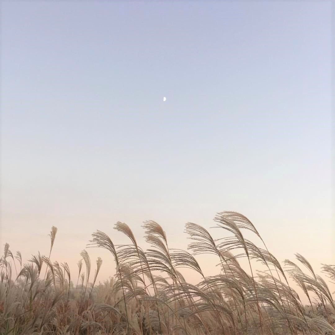 Climate change consequences