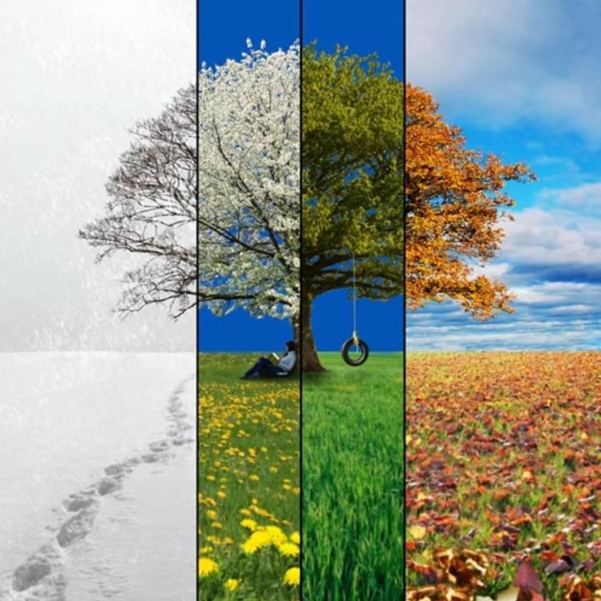 Эстетика бежевого природа