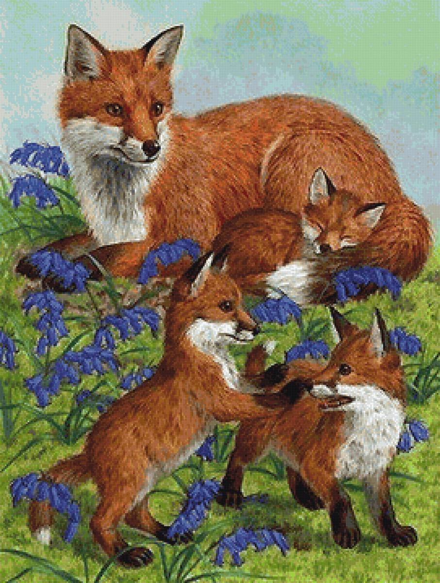 Семья Лис лисица Лисенок лисята