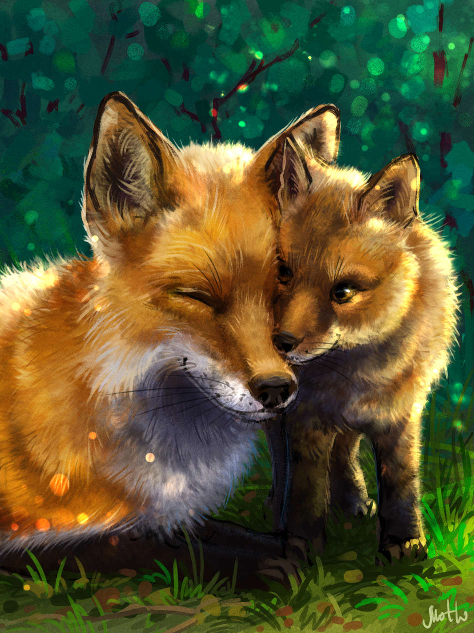 Обыкновенная лисица с лисятами