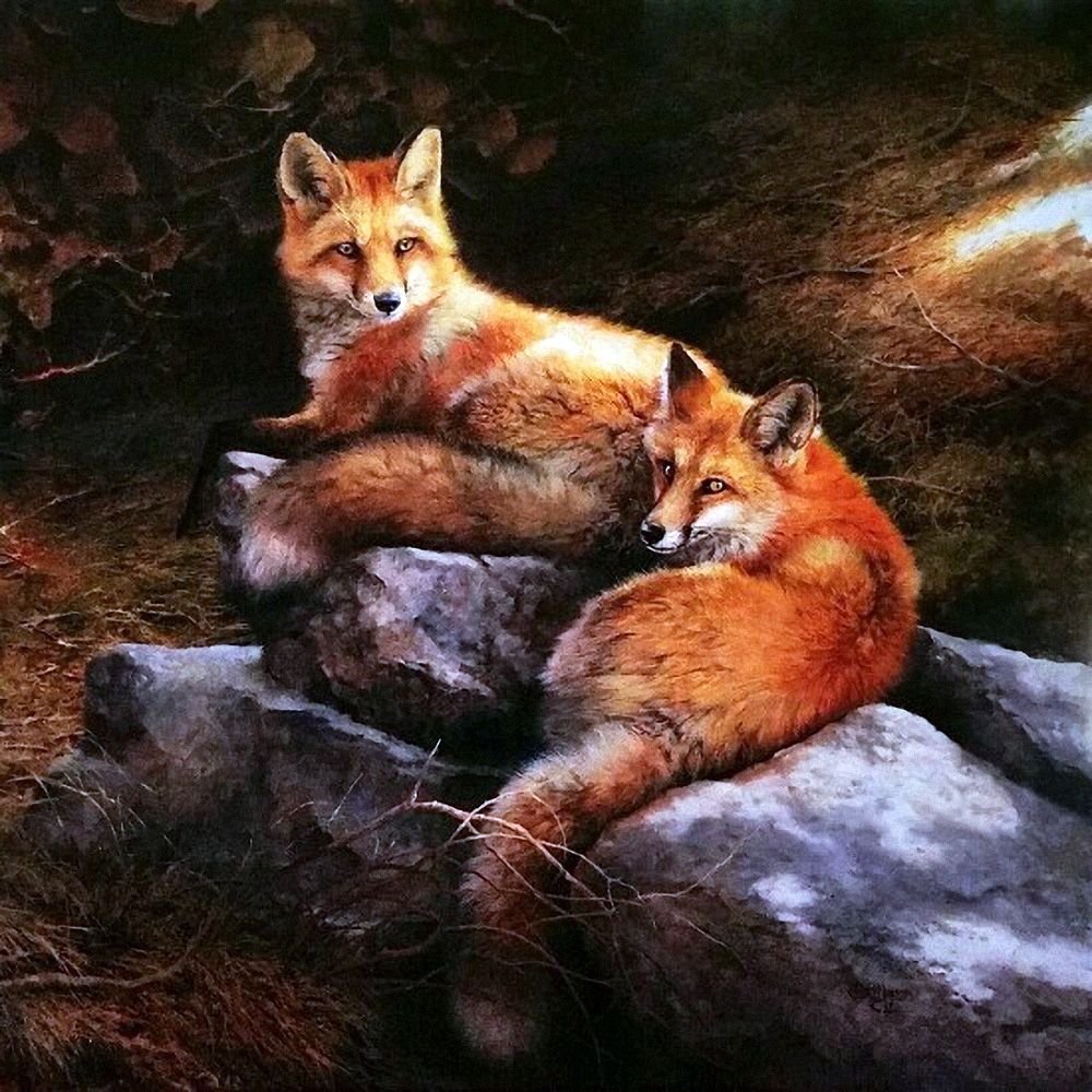 Картинка лиса с лисятами