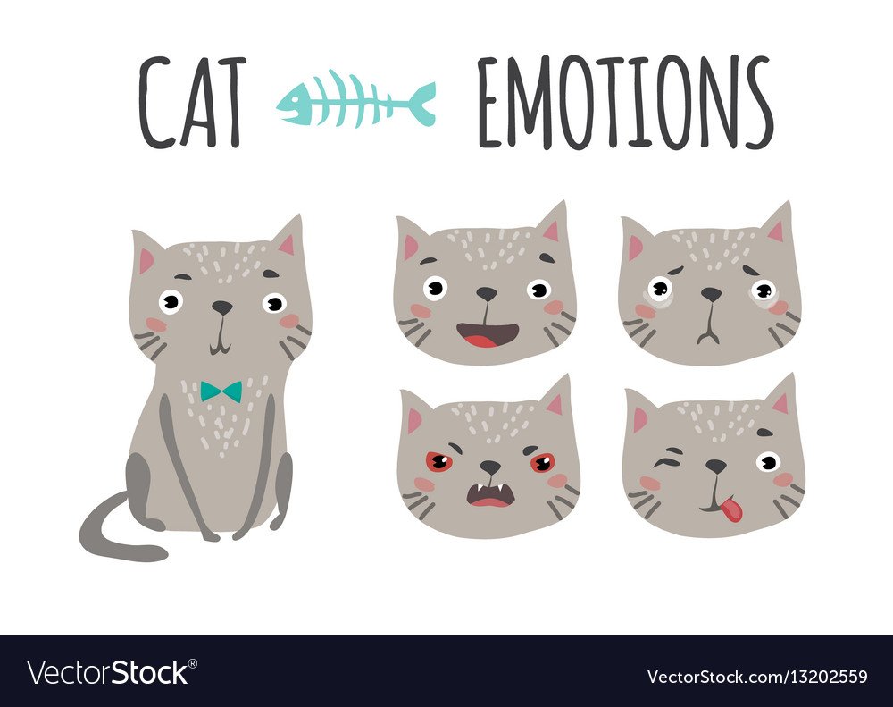 Эмоции кошек в картинках