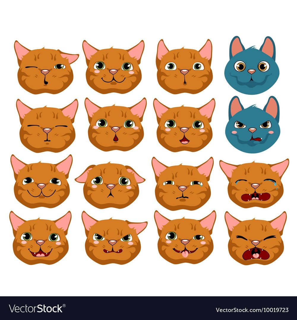 Котенок разные эмоции