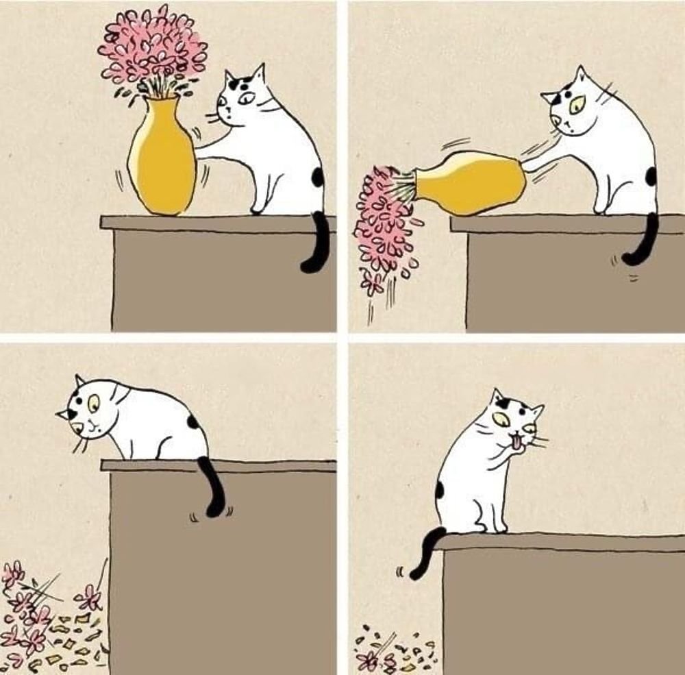 Кот скидывает вещи