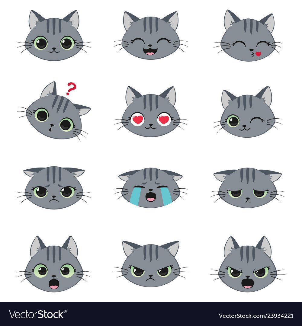 Мордочки котят с эмоциями