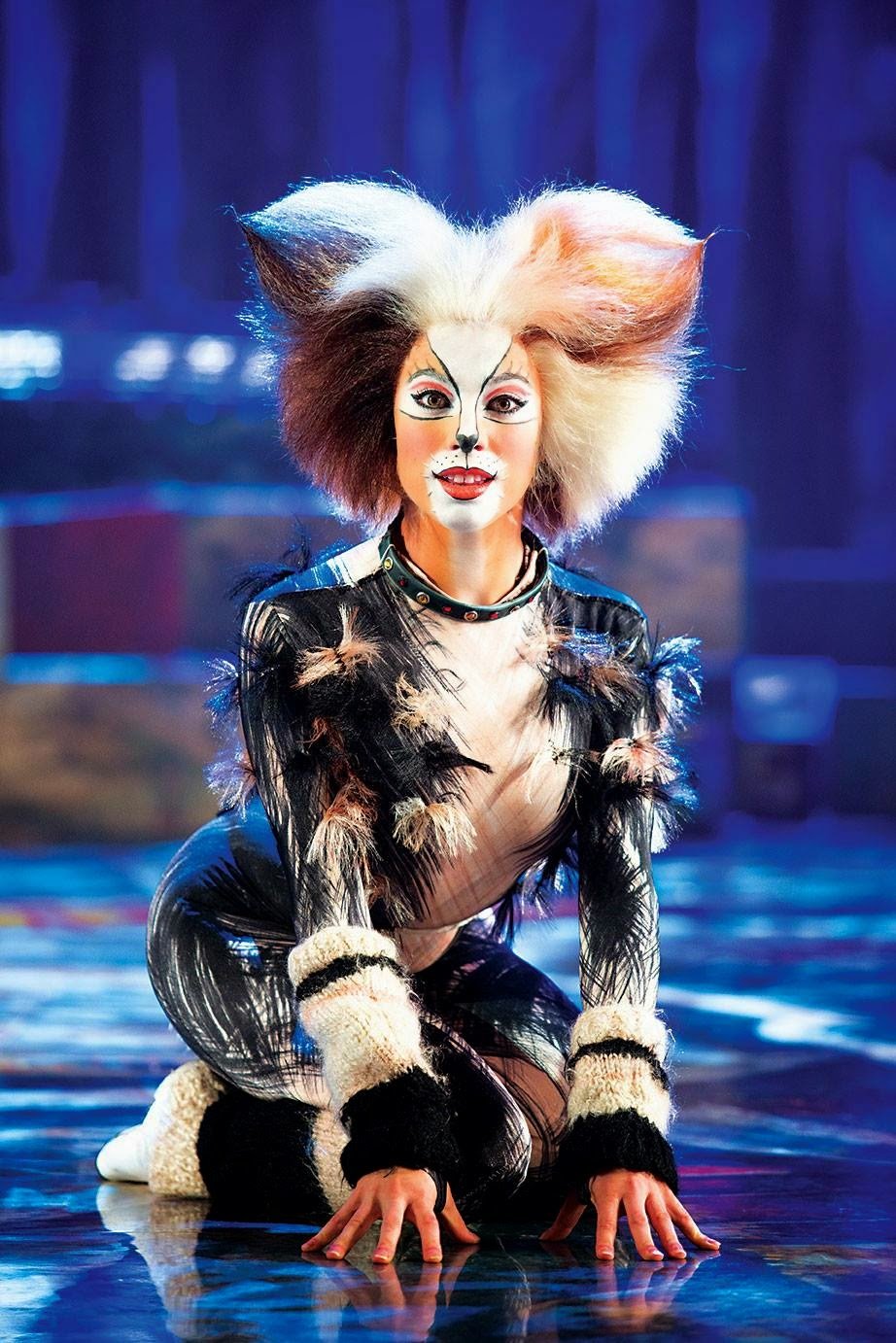 Мюзикла э.л.Уэббера "кошки".