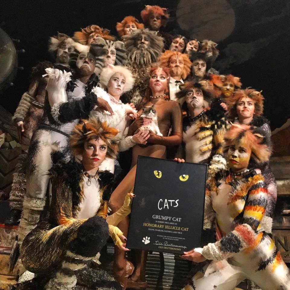 Мюзикл кэтс