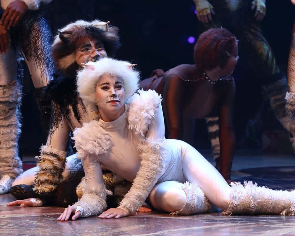 Мюзикл кошки