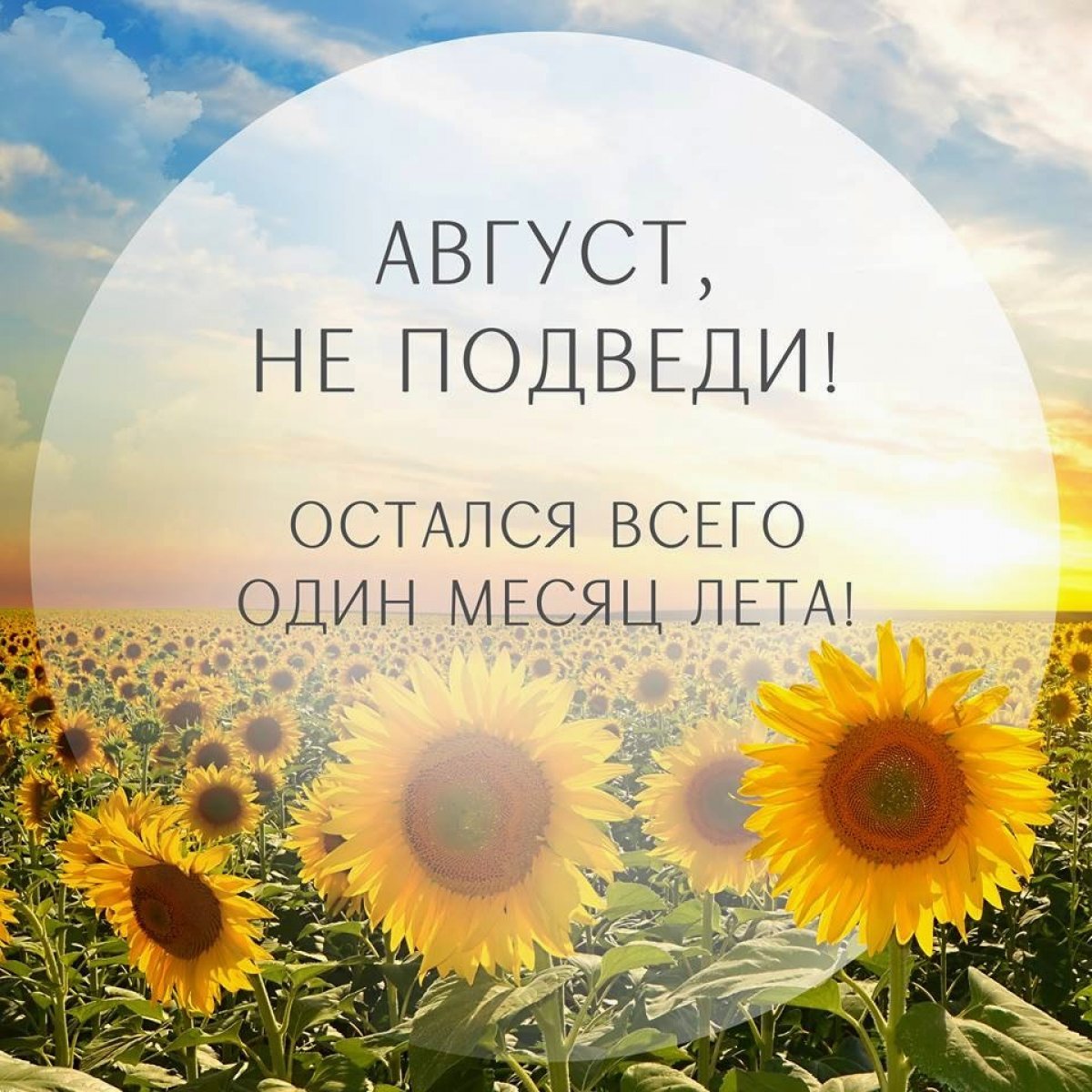 Розыгрыш уже завтра