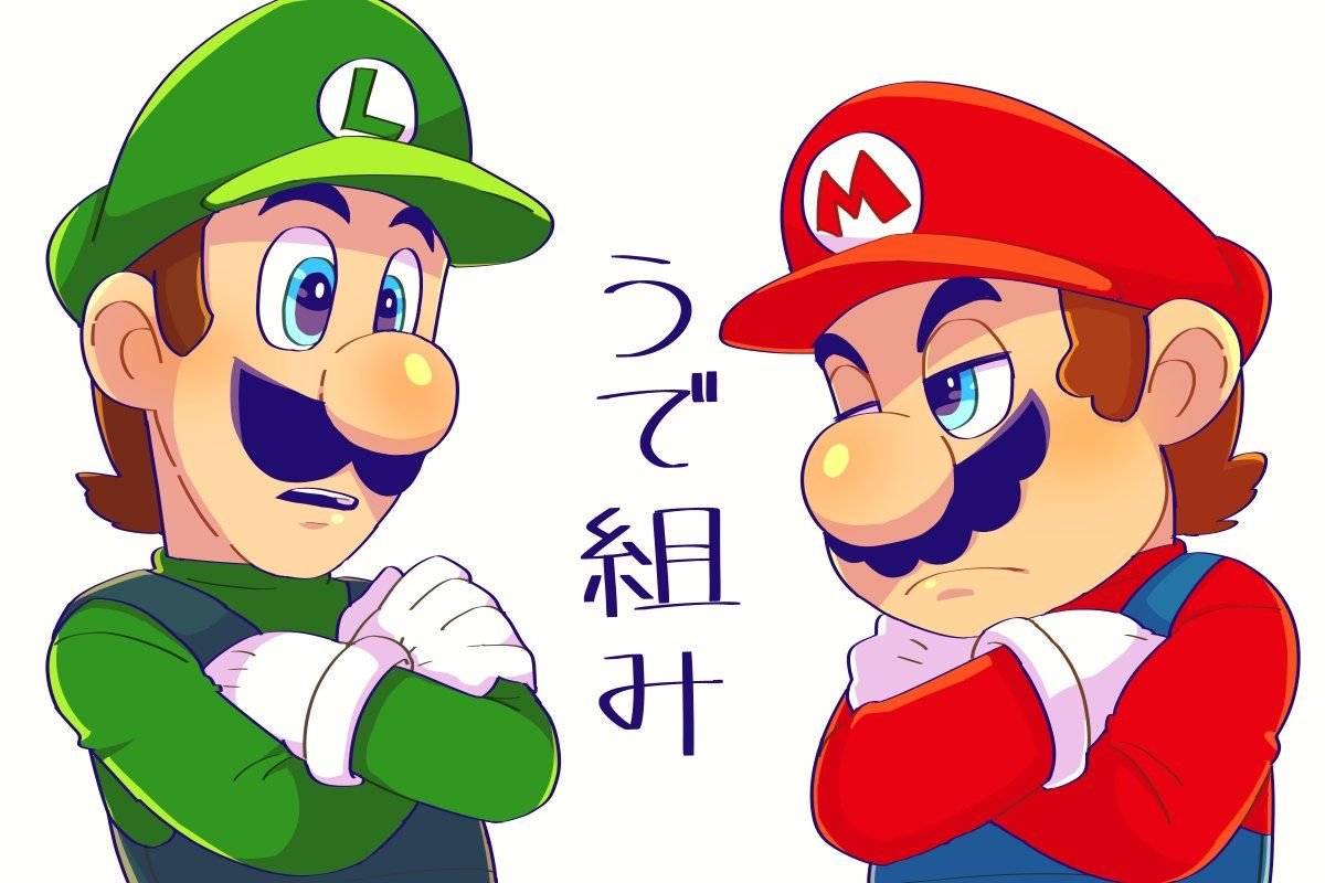 Mario and Luigi anime