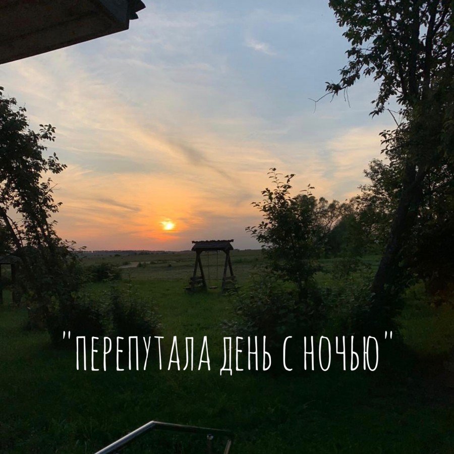 Перепутал день с ночью