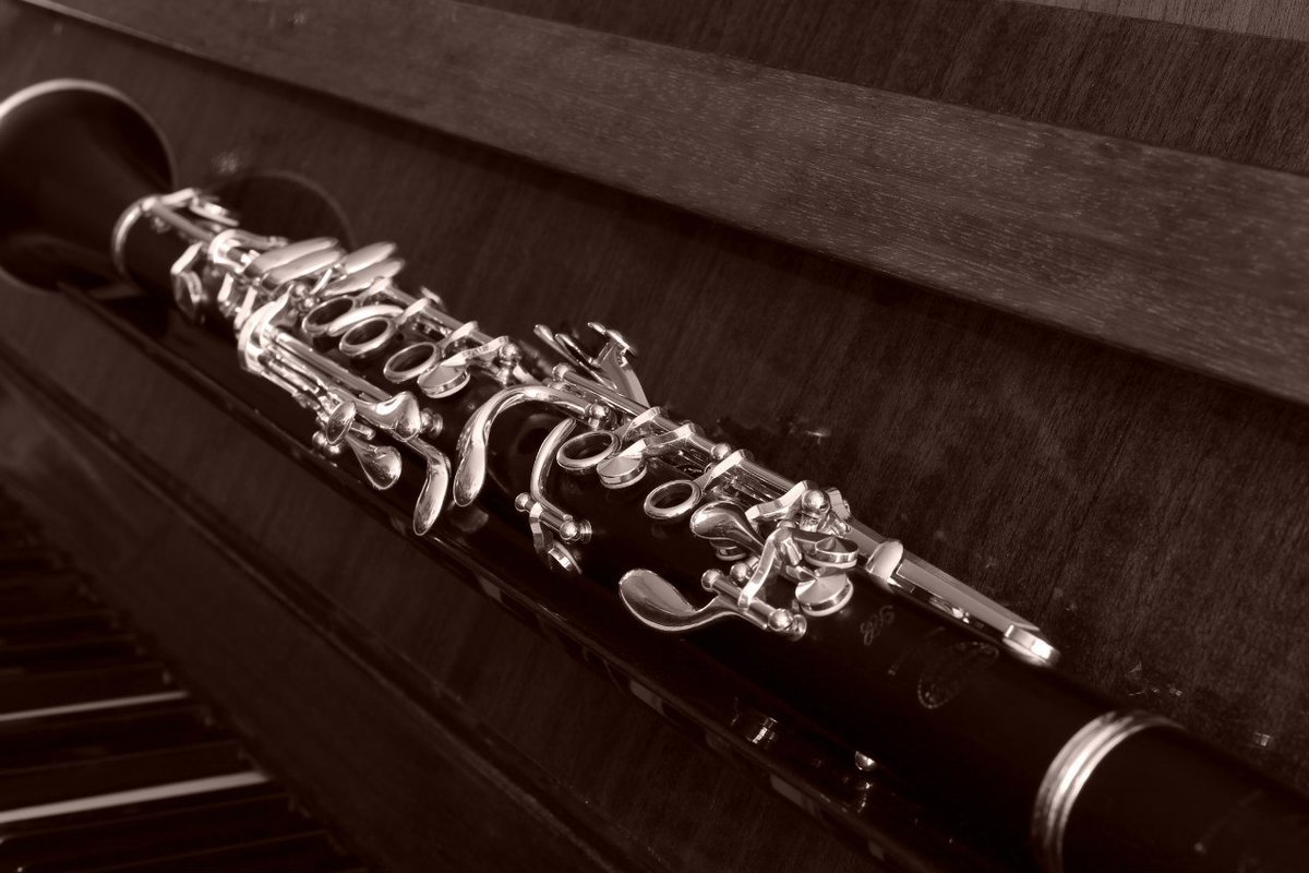 Кларнет фото на сером фоне