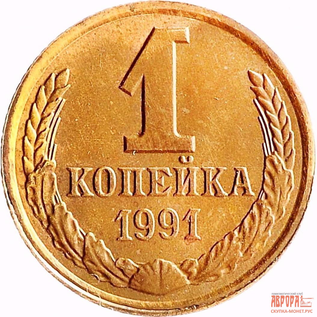 Муха Цокотуха пчела