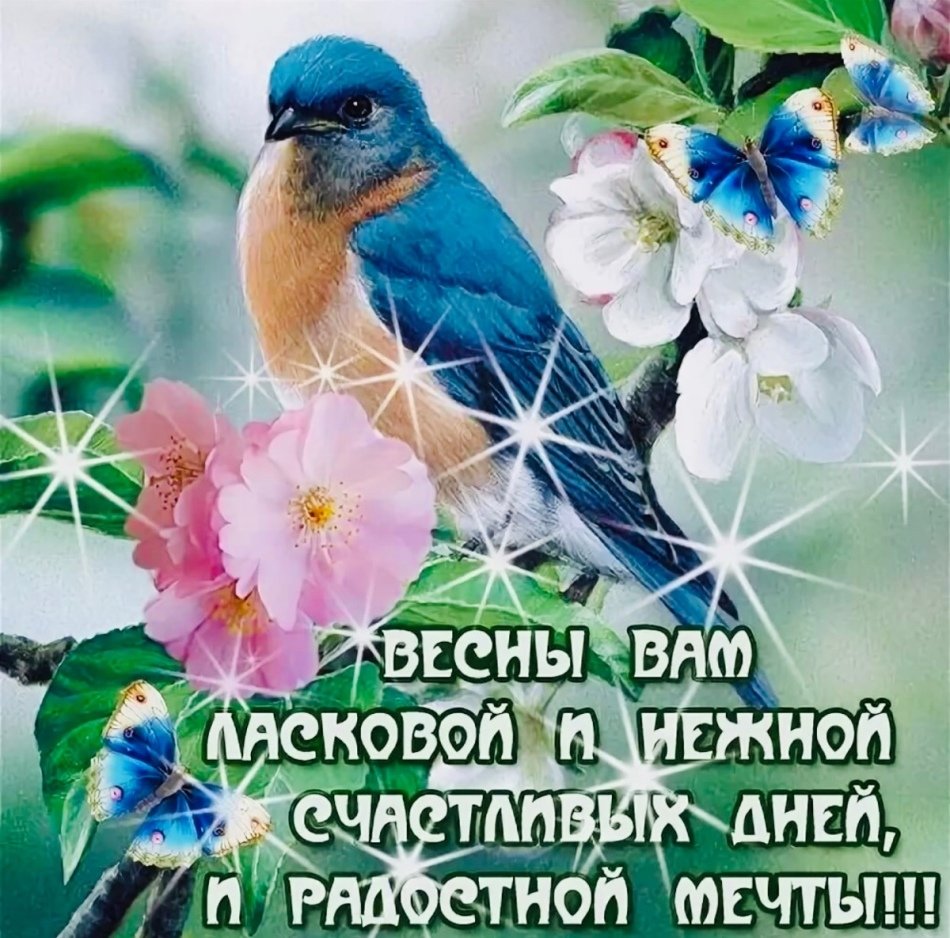 Желаю мира и добра