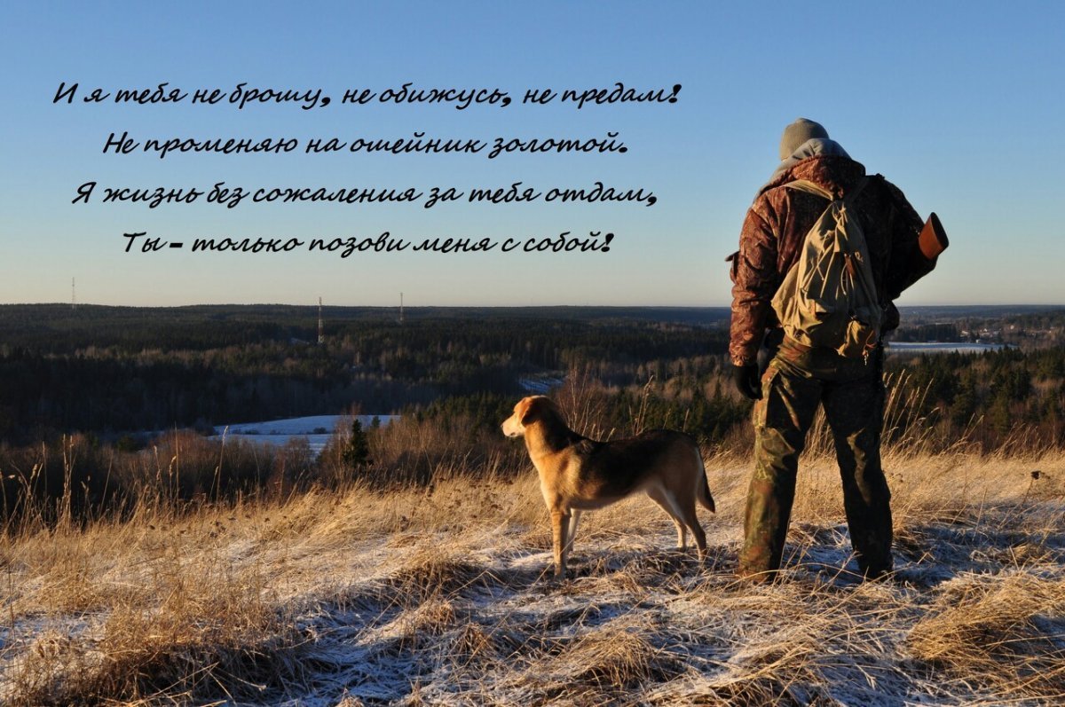 Мужчина с собакой