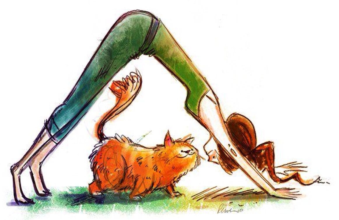 Йога в забавных иллюстрациях