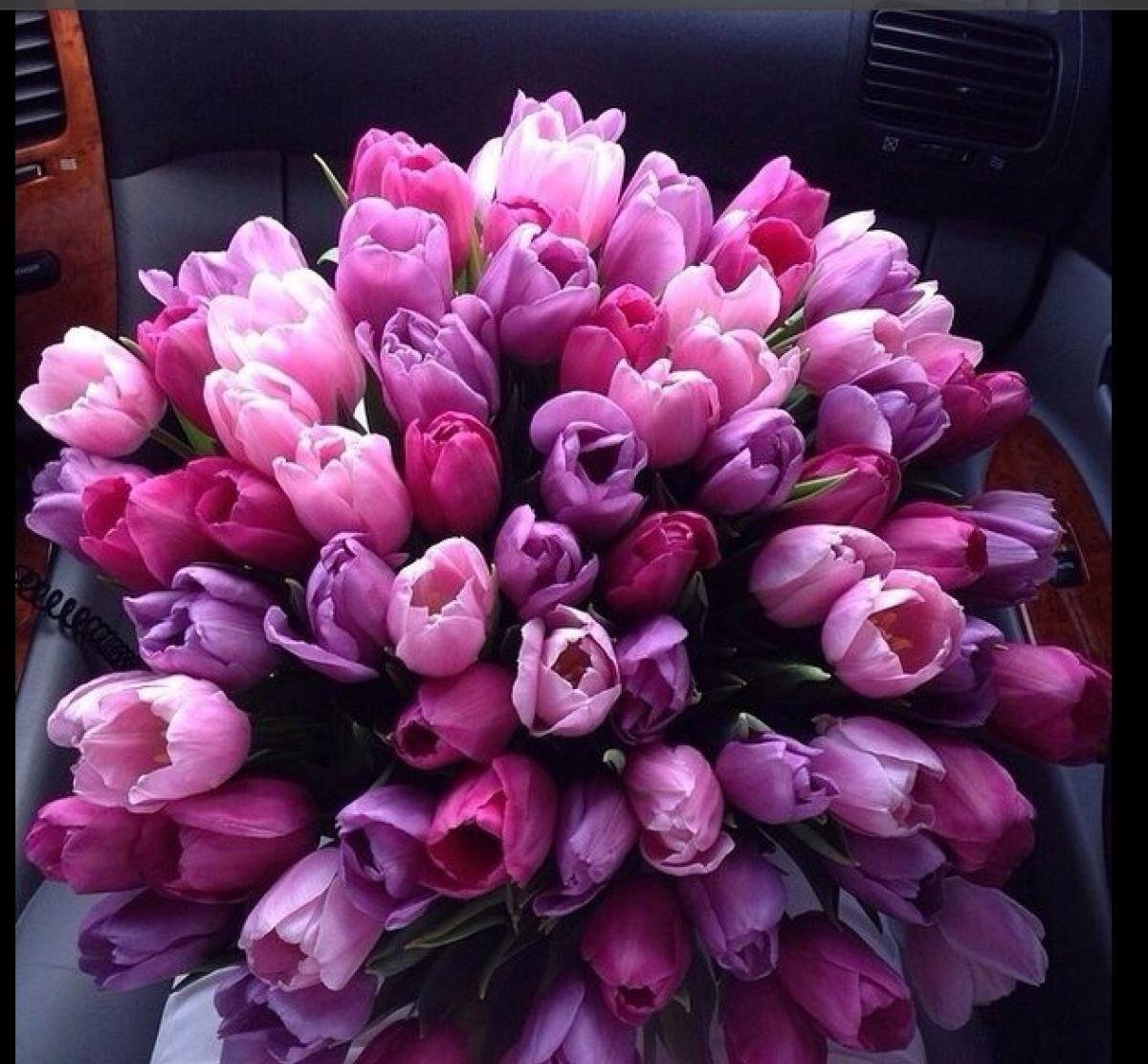 Букет тюльпанов