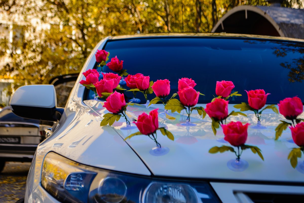 Украшение машин тюльпаны