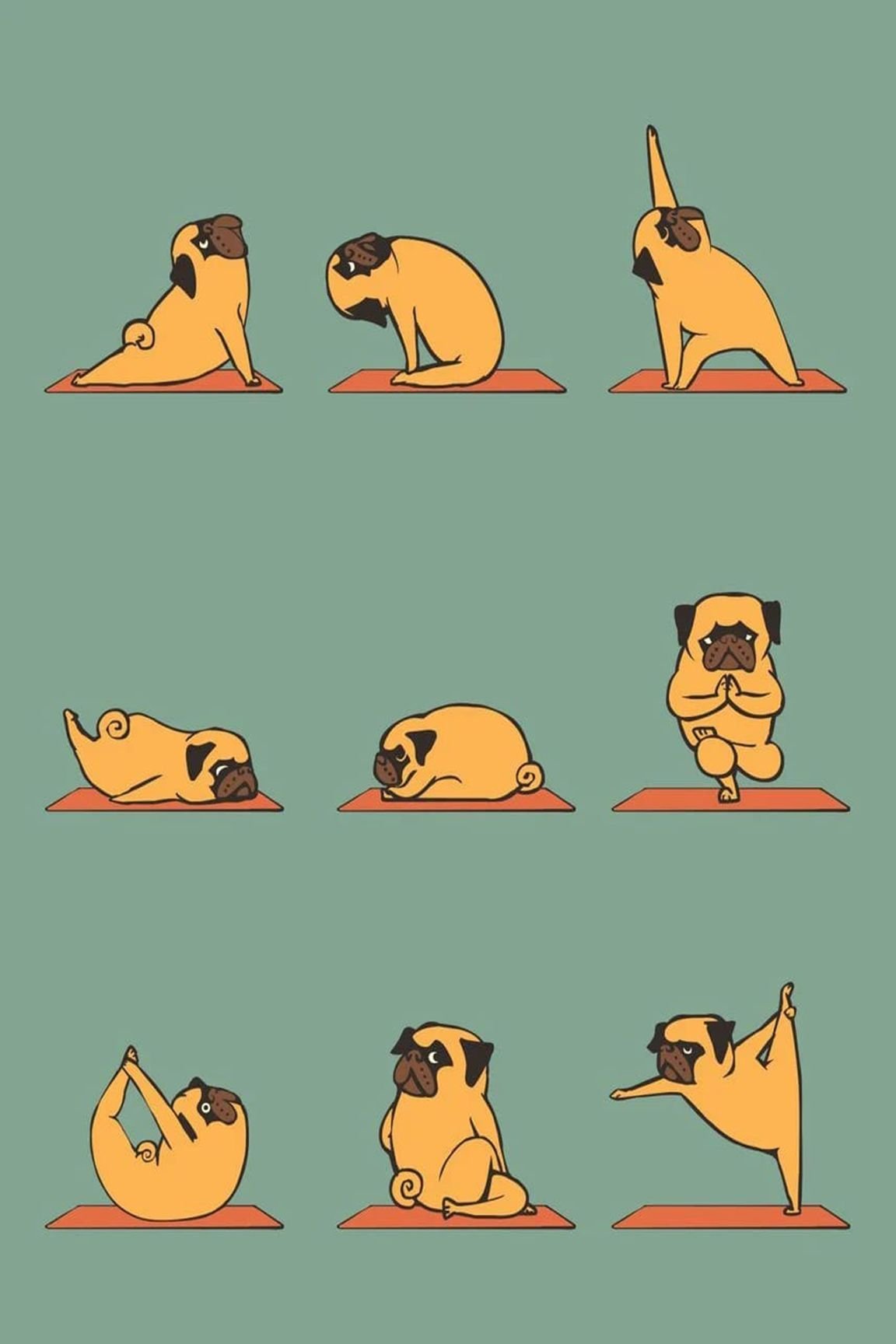 Йога приколы