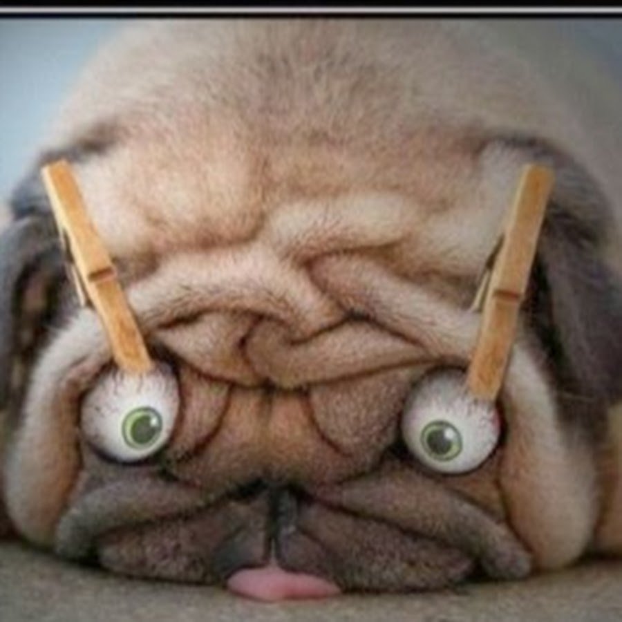 Демотиваторы с добрым утром прикольные