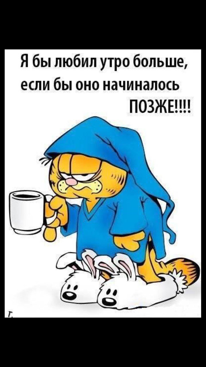 Доброе утро Сова