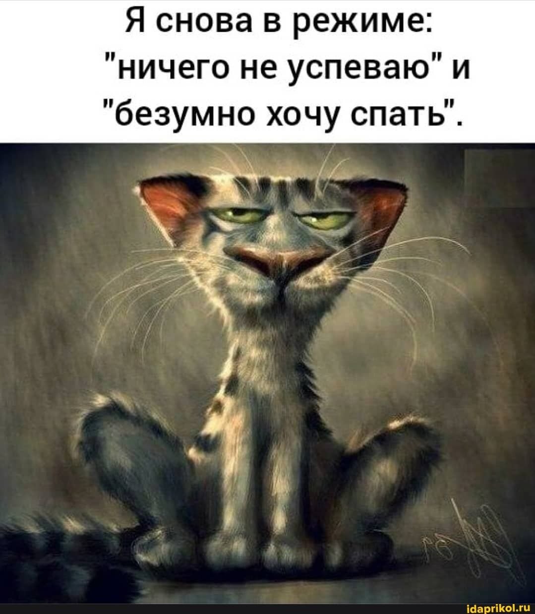 Утро добрым не бывает