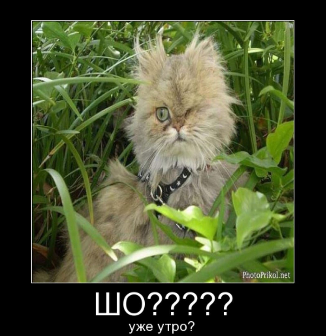 Доброе утро Маша