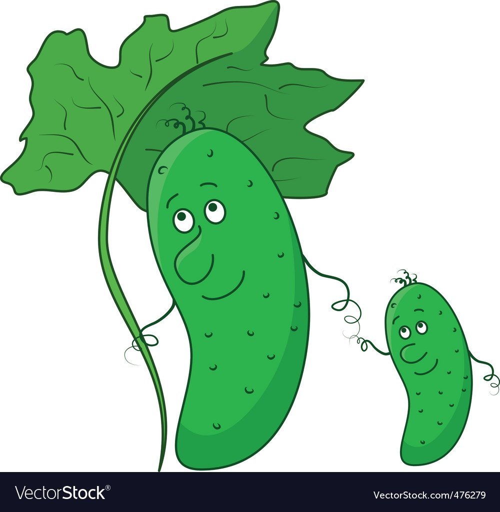 Рисуется огурцы на грядке