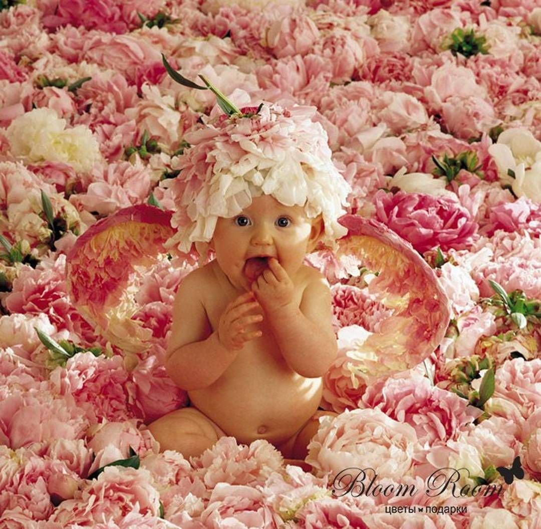 Анна Геддес