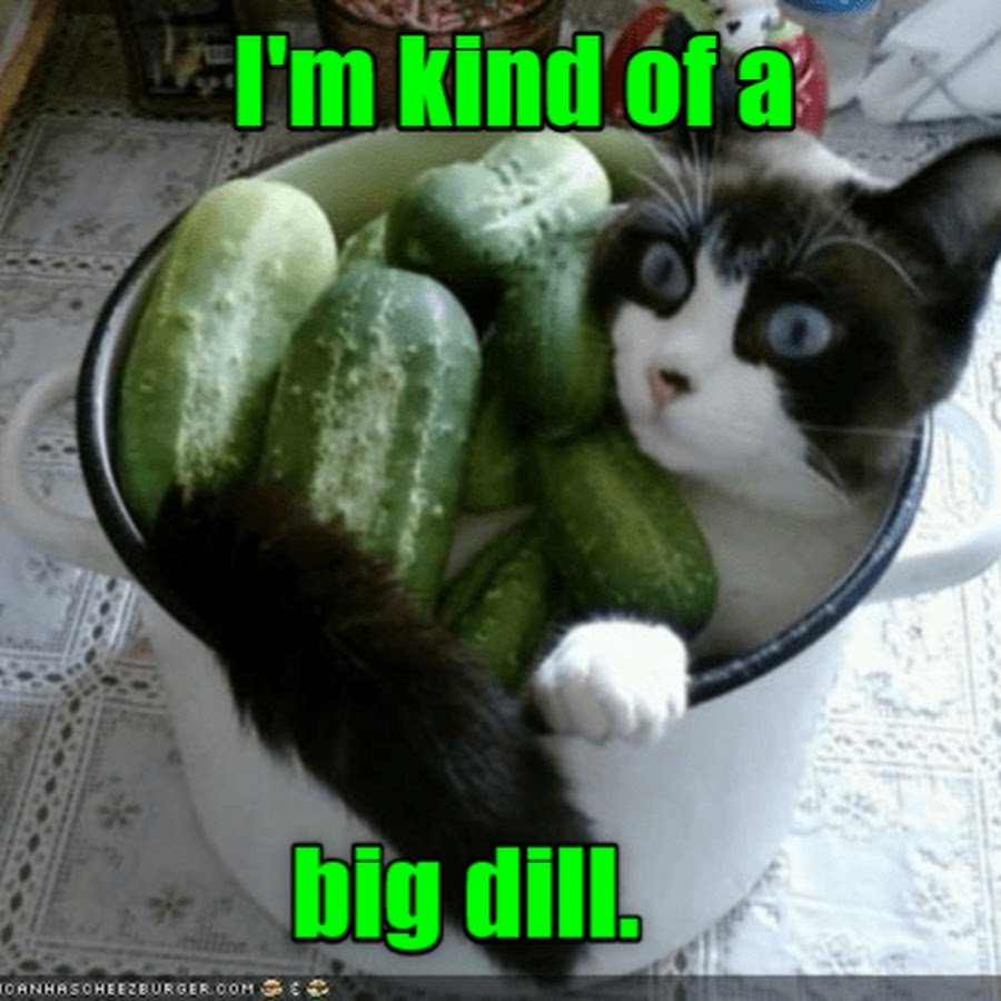 Прикольный огурец