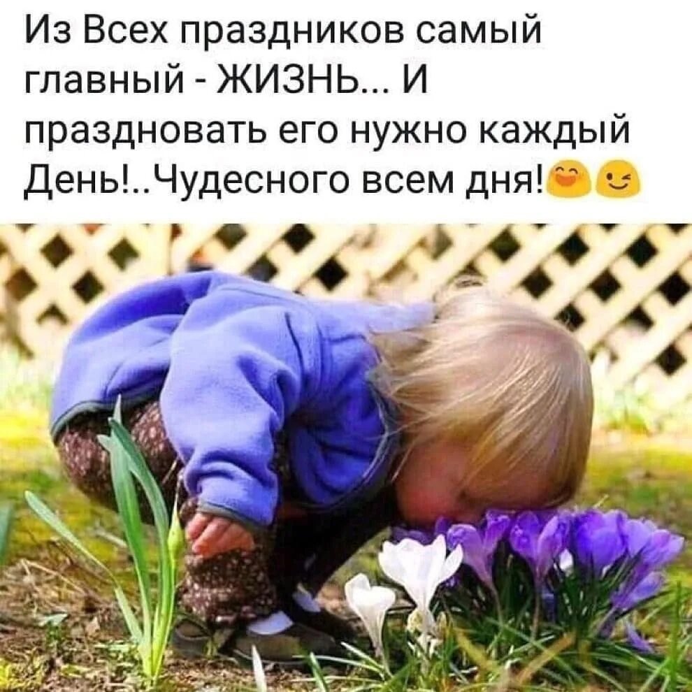 Три девушки смешные