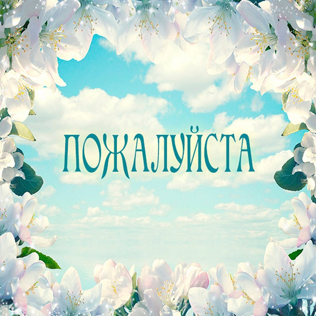 Кот с гармонью