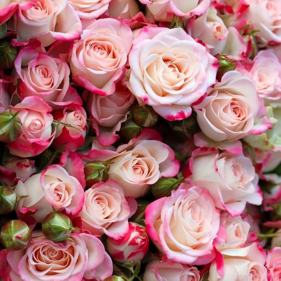 Открытки с благодарностью