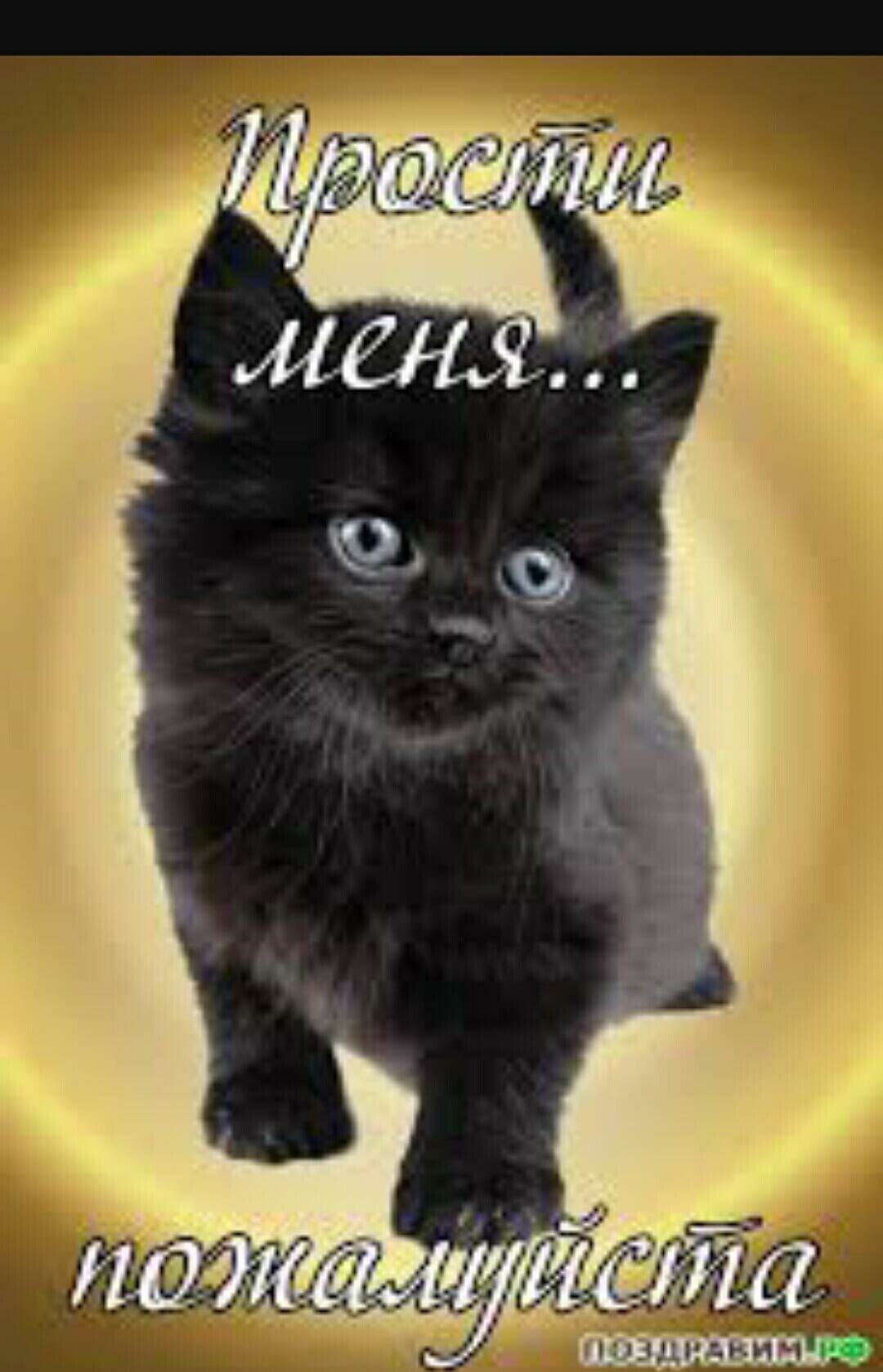 Аткрытка большое спасибо