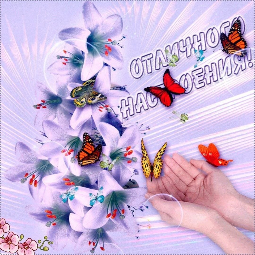 Красивые открытки