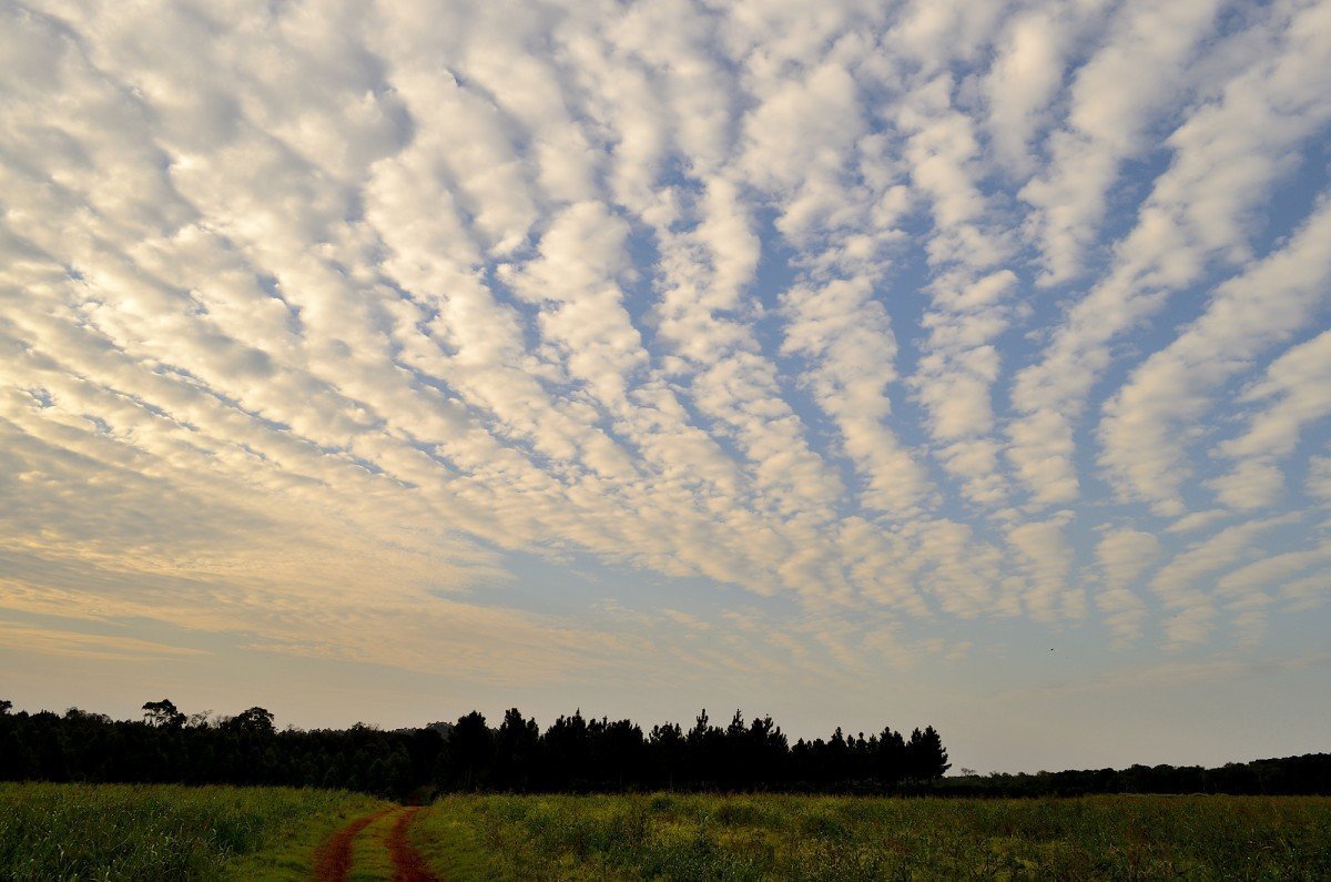 Перисто-Кучевые волнистообразные