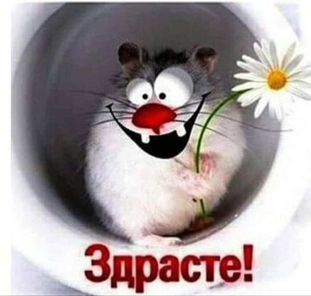 Смешное Приветствие