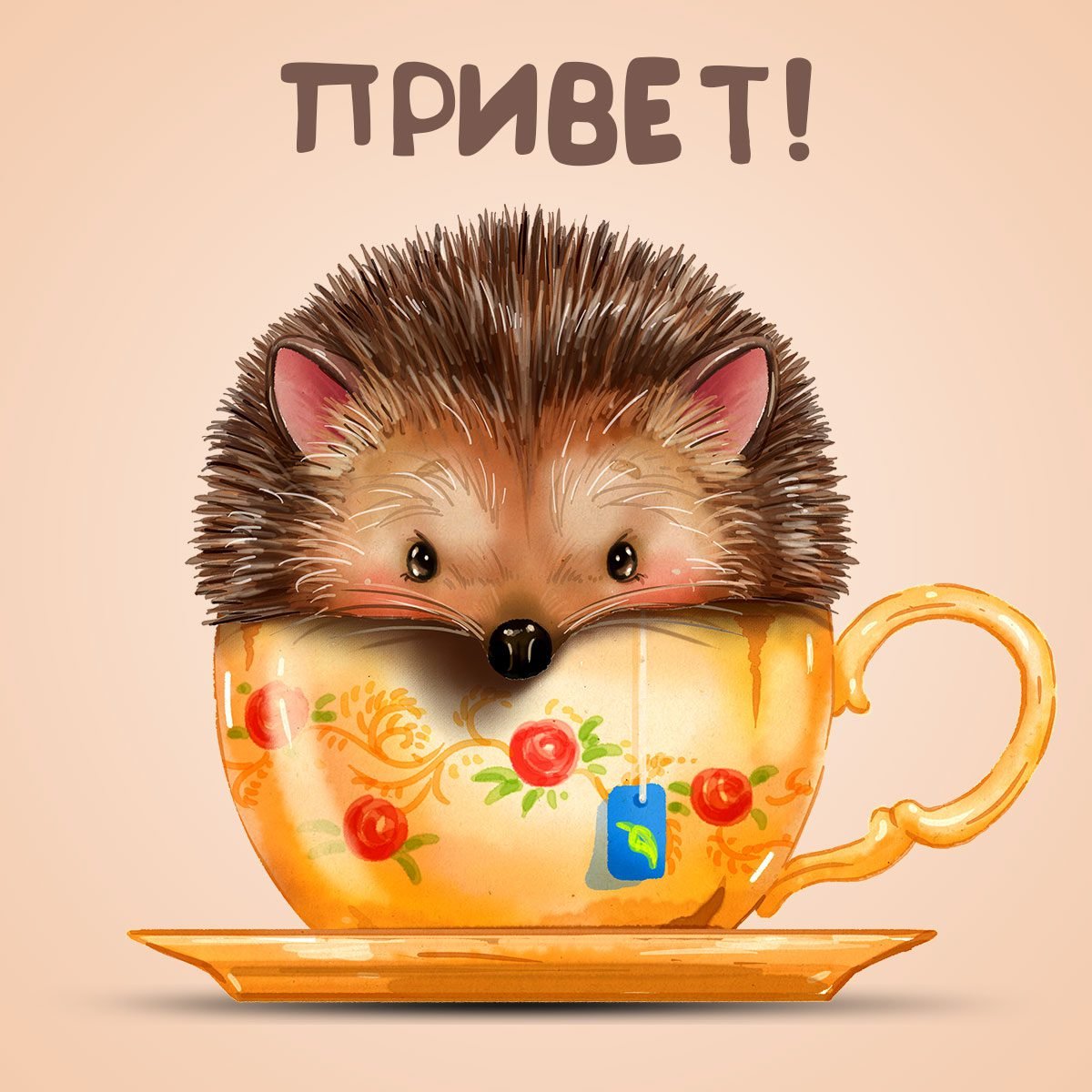 Прикольные анимашки