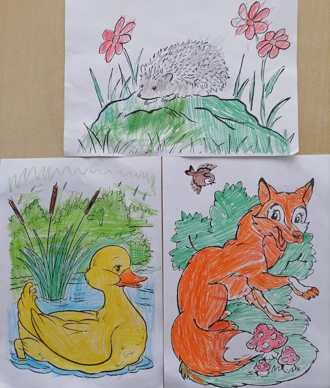 Михаил пришвин с фотоаппаратом