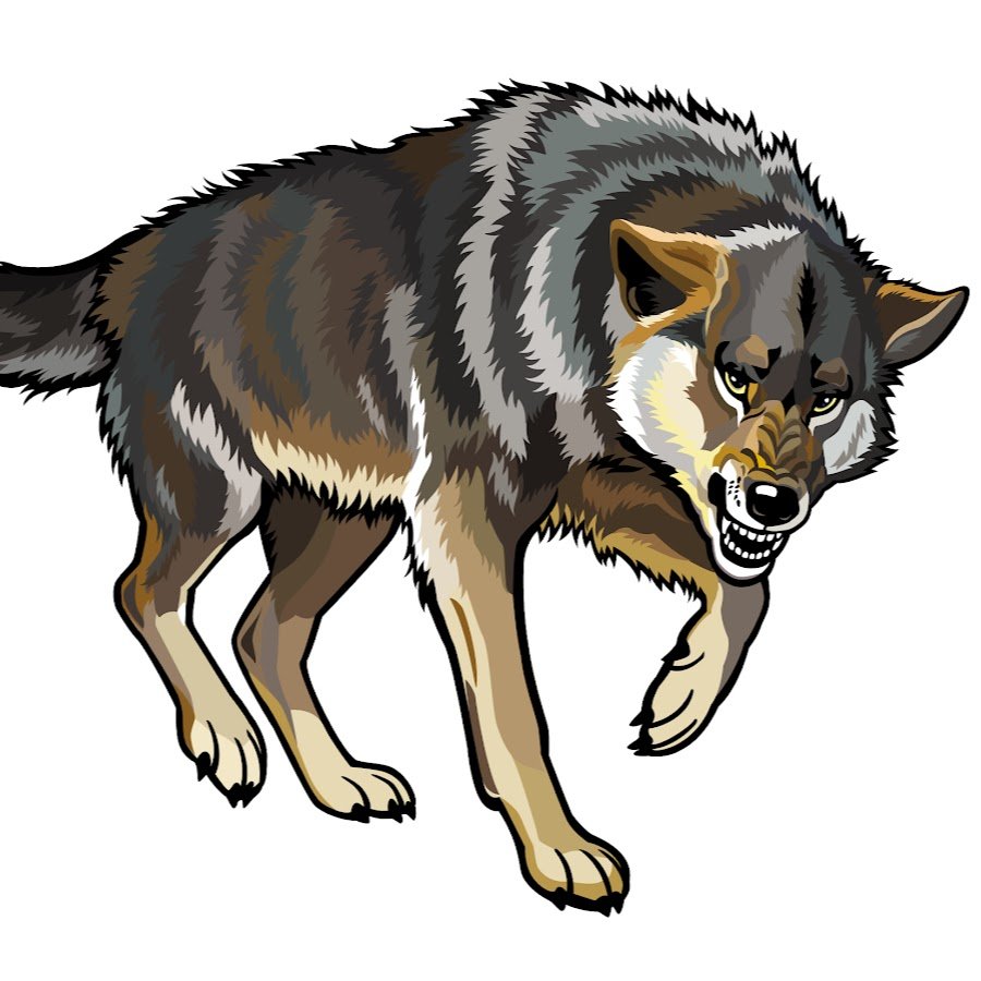 Волк картинка для детей рисунок