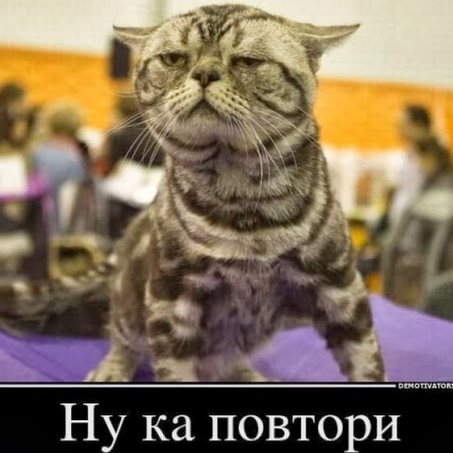 Внимательный ученик