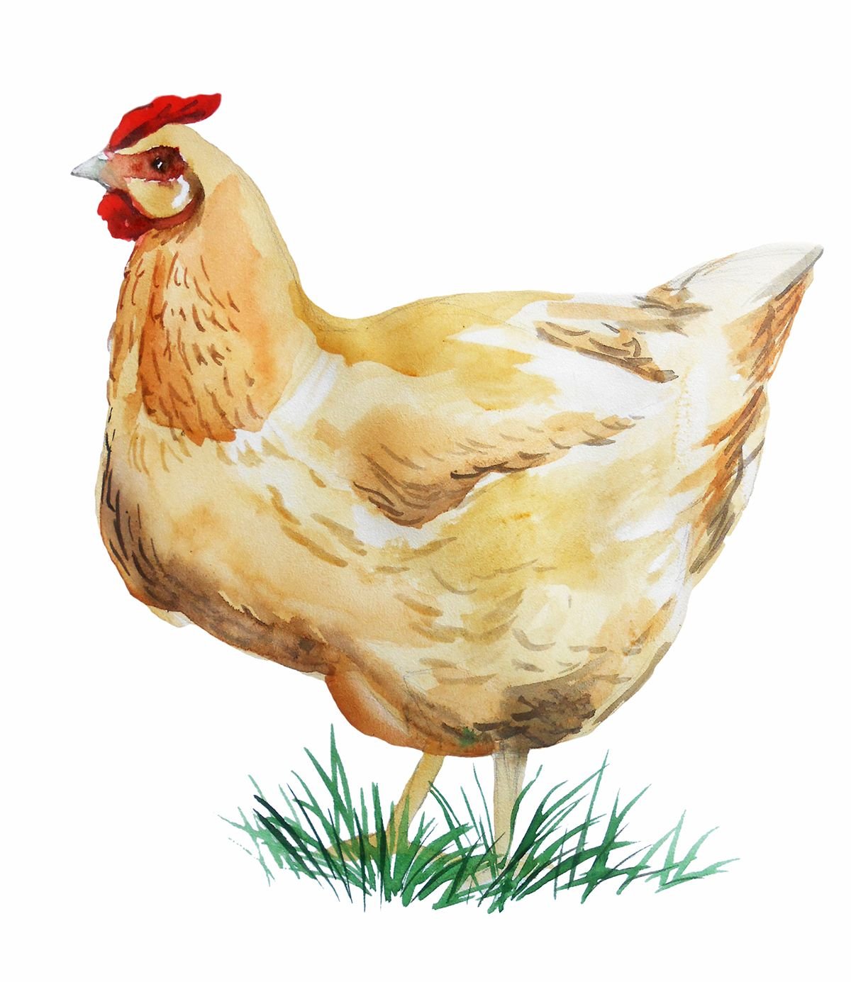 Постеры с Куроми