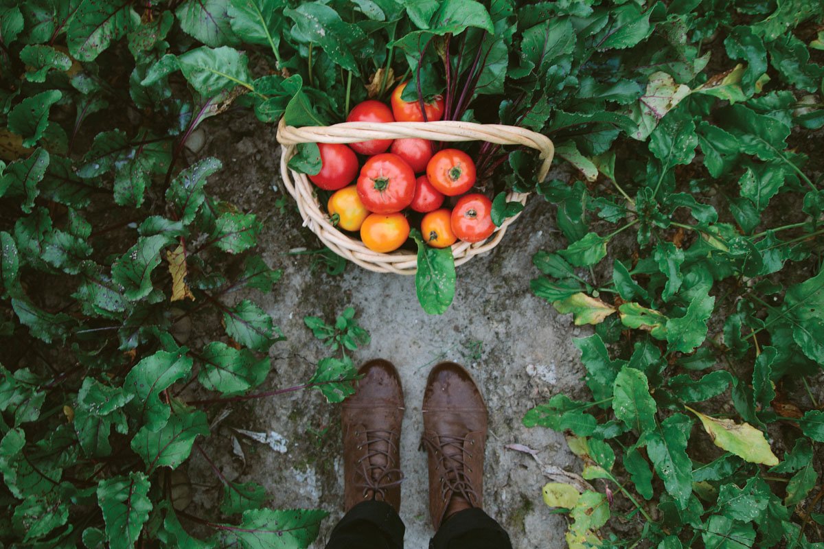 По самые помидоры