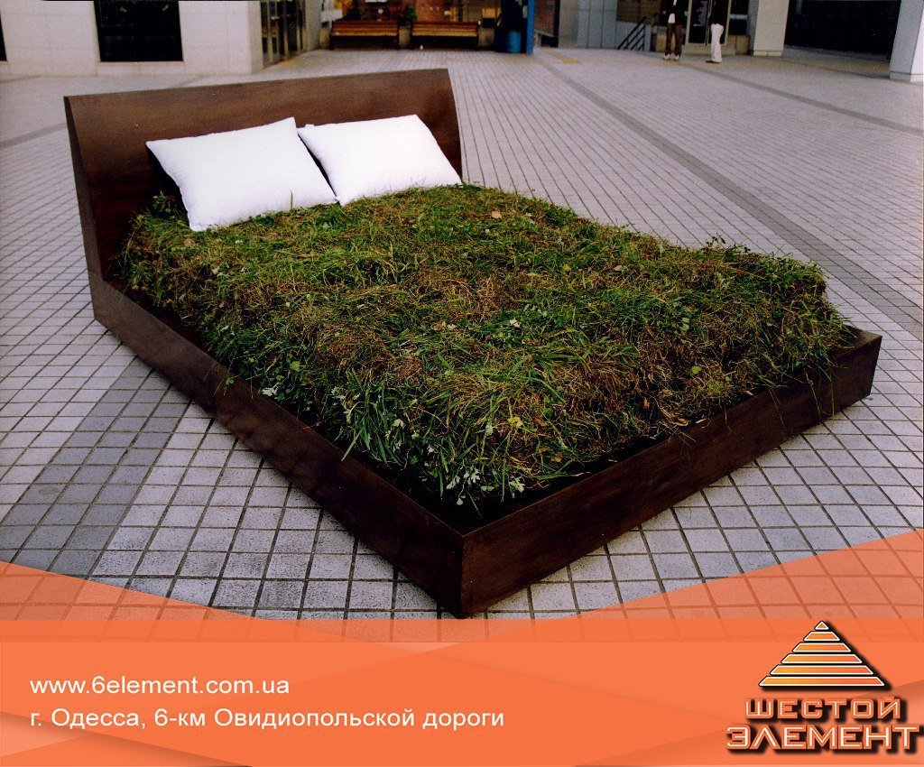 Помидор в форме сердца