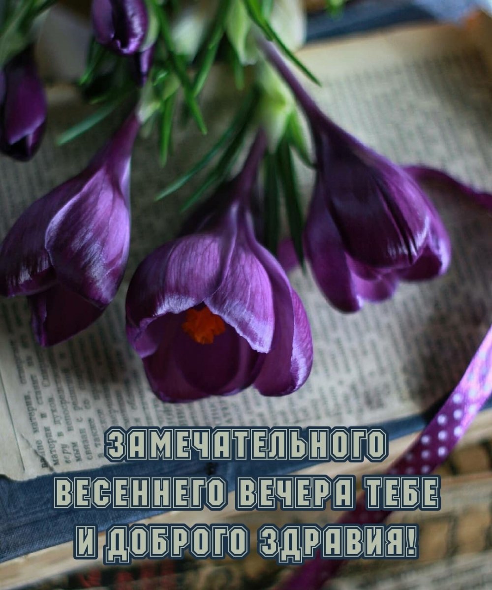 Доброго вам здравия