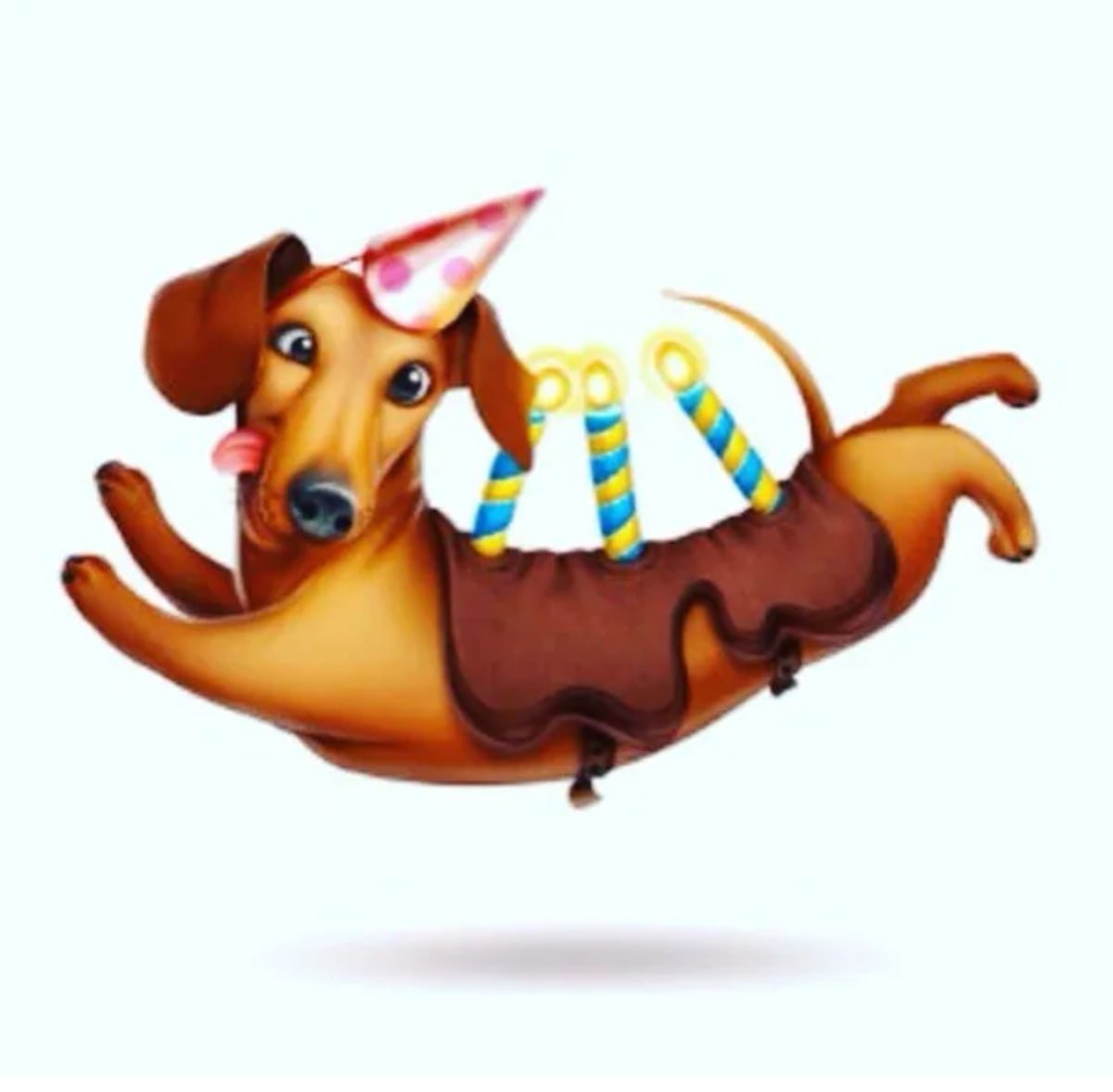 Пожелания на день рождения с таксой