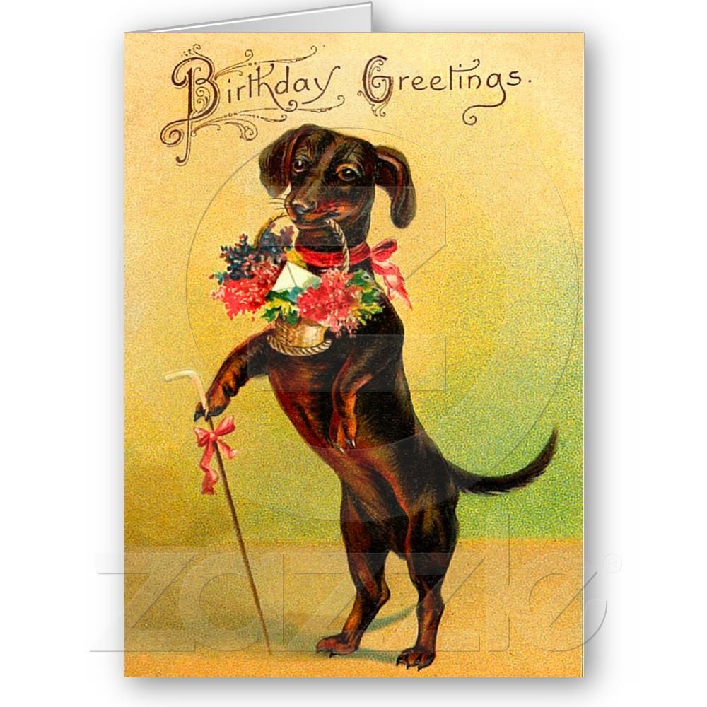 Такса с цветами